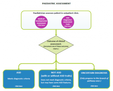 ASD Paediatric Assessment