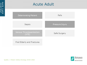 Quality & Patient Safety Strategy - Safe Care: Acute Adult